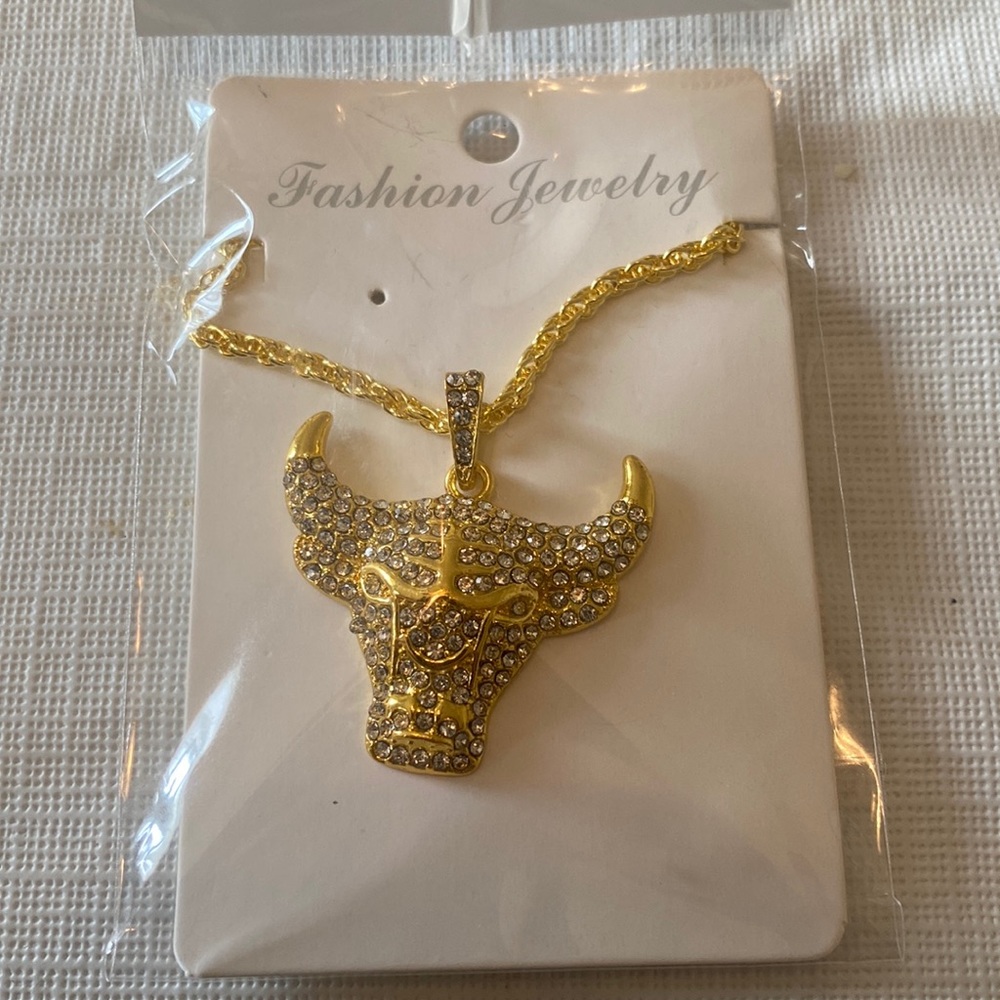 Iced out Chicago bill pendant and chain